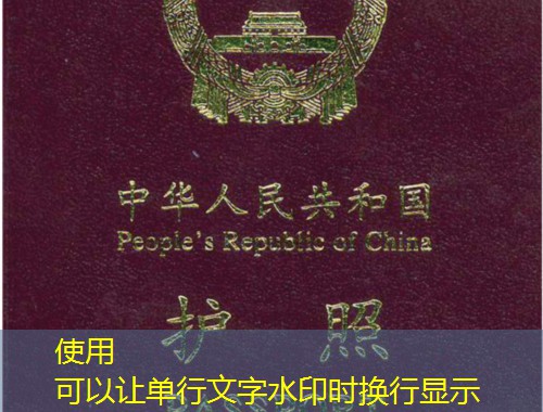 从草原钢城到世界舞台：包头移民中介的“隐形翅膀”